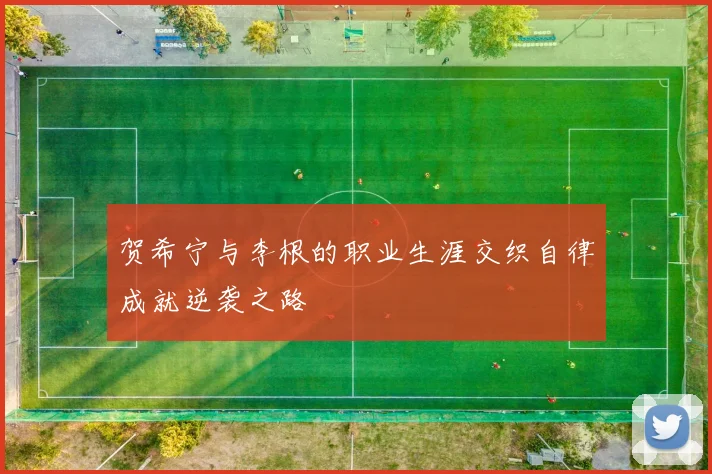 贺希宁与李根的职业生涯交织自律成就逆袭之路
